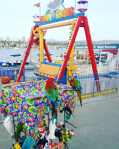 Amusement Park «Balboa Fun Zone», reviews and photos, 600 E Bay Ave, Newport Beach, CA 92661, USA