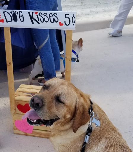 Water Park «Splash Adventure Water Park», reviews and photos, Quiet Waters Park Dr, Deerfield Beach, FL 33442, USA