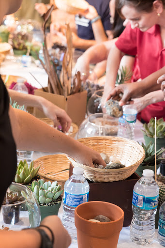 Wholesale Florist «Urban Jungle», reviews and photos, 2603 Sherman Ave NW, Washington, DC 20001, USA