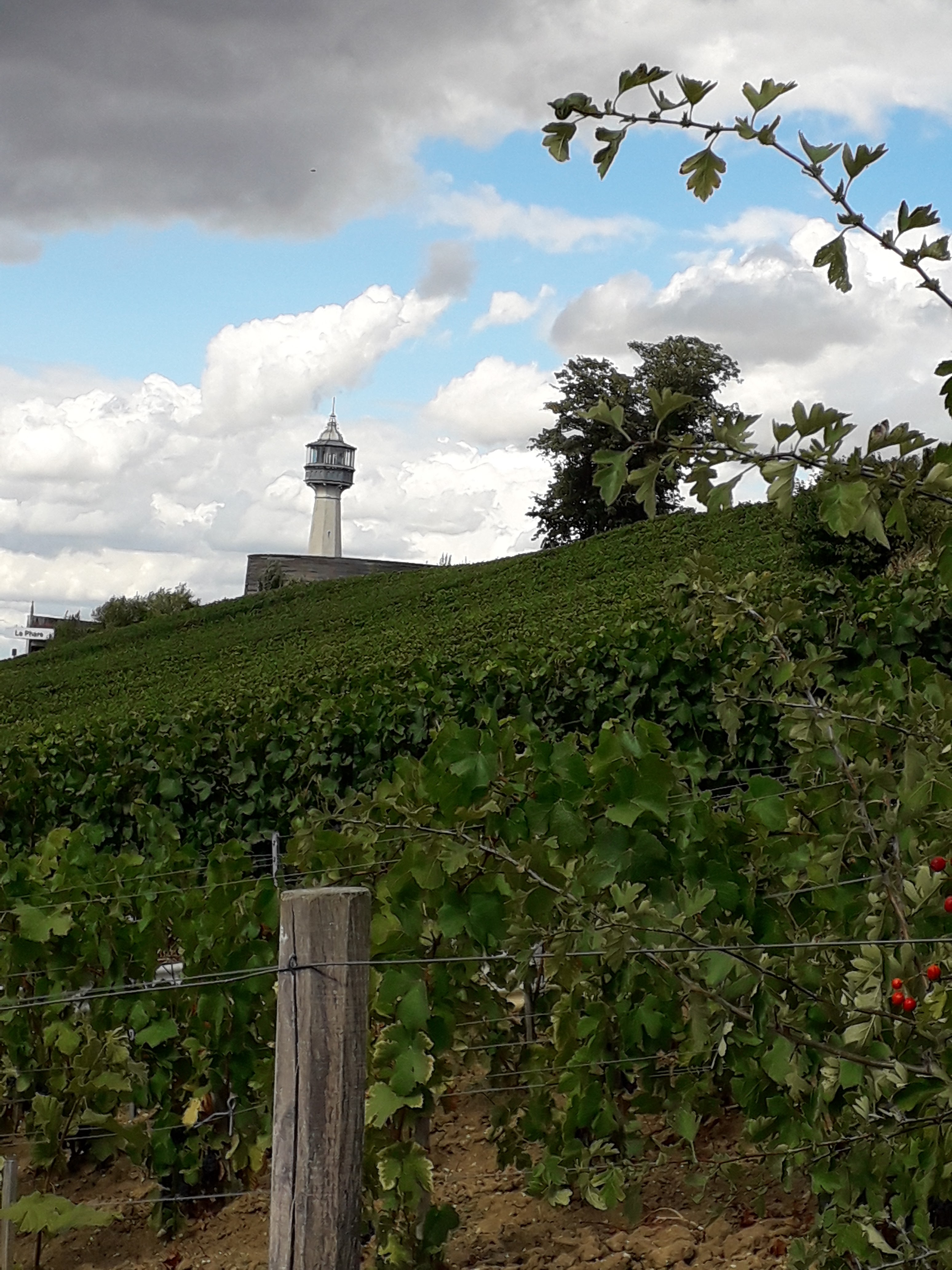 Photo n° 6 de l'avis de Cathy.r fait le 25/08/2018 à 19:04