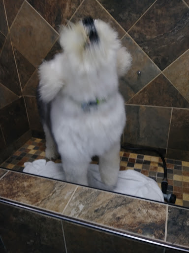 Pet Store «Pet Valu», reviews and photos, 99 E Main Rd, Middletown, RI 02852, USA