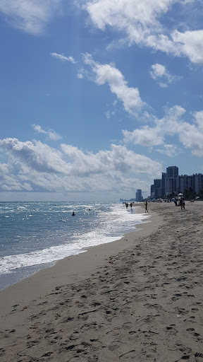 Tourist Attraction «Water Taxi Stop #5», reviews and photos, 1881 SE 17th St, Fort Lauderdale, FL 33316, USA