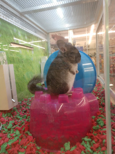 Pet Supply Store «PetSmart», reviews and photos, 7501 SW Dartmouth St, Tigard, OR 97223, USA