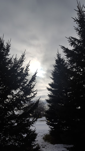 Private Golf Course «Minikahda Club», reviews and photos, 3205 Excelsior Blvd, Minneapolis, MN 55416, USA