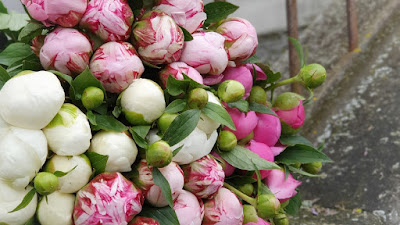 Natur'en fleurs - fleuriste - livraison - Evian à Lugrin