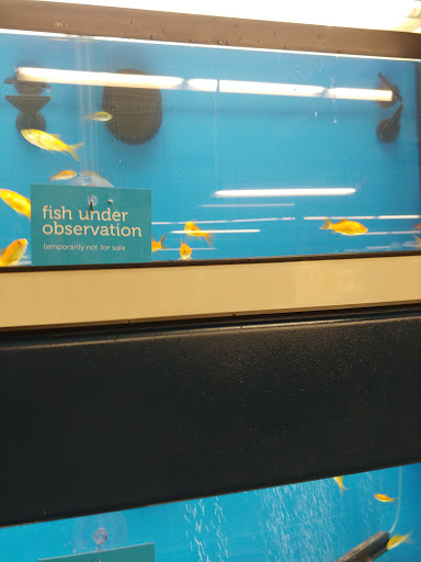 Pet Supply Store «Petco Animal Supplies», reviews and photos, 3800 S Tamiami Trail #20, Sarasota, FL 34239, USA