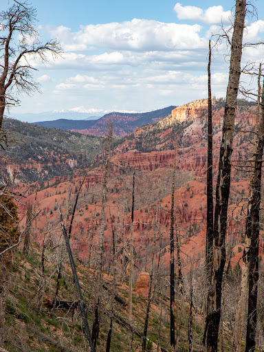 Hendrickson Lake Trailhead