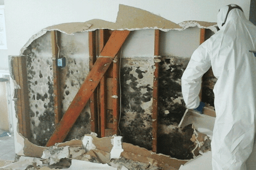 Fire Damage Restoration Service «First Response Services of Warner Robins GA», reviews and photos