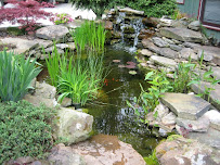 Reno Landscaping Services, LLC - Photo 2 - Car repair in Knoxville, TN, Knoxville