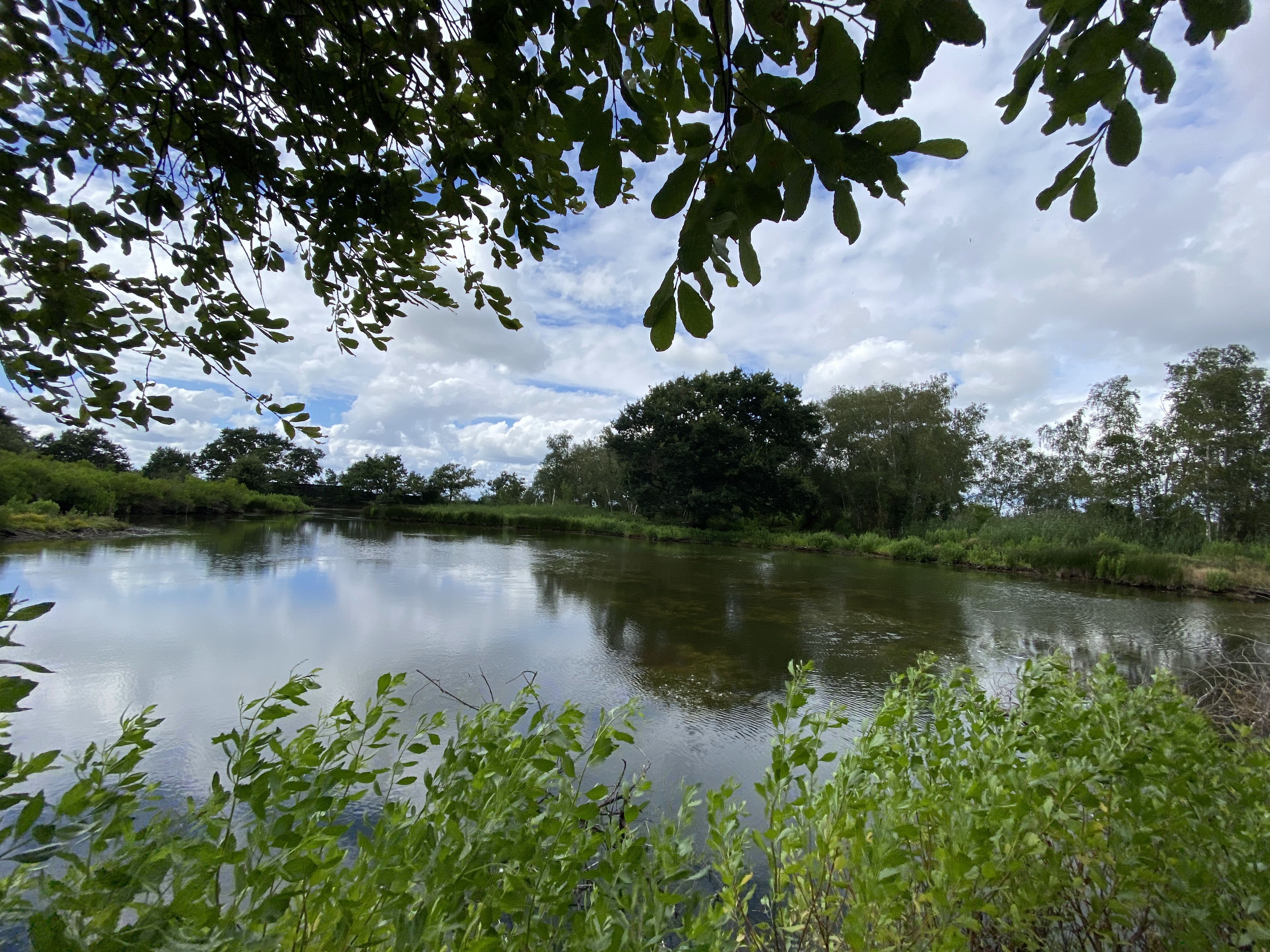 Photo n° 19 de l'avis de Michel.o fait le 24/07/2020 à 10:43