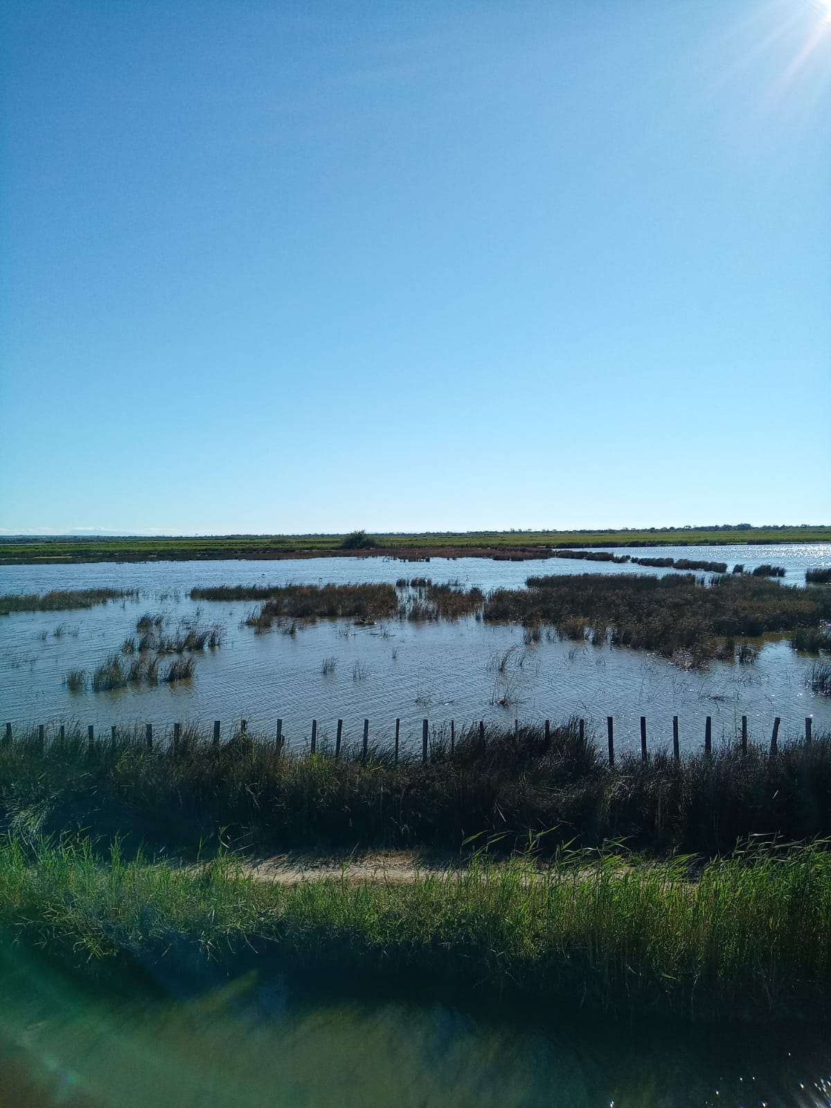Photo n° 22 de l'avis de Véronique. fait le 21/08/2022 à 17:43