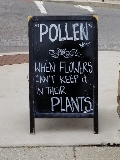 Gift Shop «Duncan and York Modern Market», reviews and photos, 33 N Lexington Ave, Asheville, NC 28801, USA