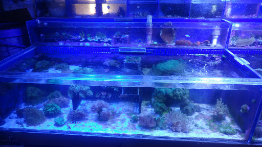 Pet Store «Aquarium & Reef Center», reviews and photos, 231 Del Prado Blvd, Cape Coral, FL 33990, USA