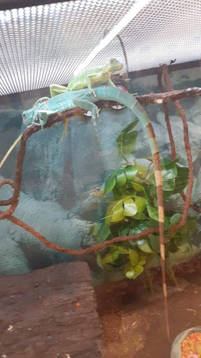 Pet Supply Store «Petco Animal Supplies», reviews and photos, 8909 Branch Ave d, Clinton, MD 20735, USA