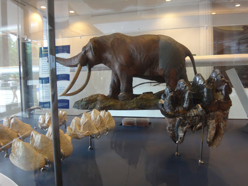 Museum «EcoTarium», reviews and photos, 222 Harrington Way, Worcester, MA 01604, USA