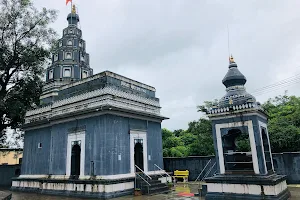 Shri Vireshwar Temple image