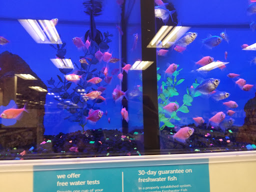 Pet Supply Store «Petco Animal Supplies», reviews and photos, 1203 SE Everett Mall Way f, Everett, WA 98208, USA