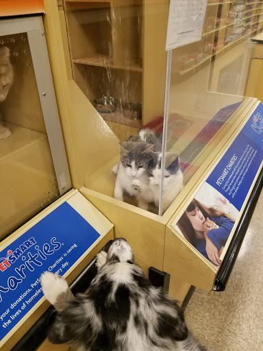 Pet Supply Store «PetSmart», reviews and photos, 2347 N Telegraph Rd, Monroe, MI 48162, USA
