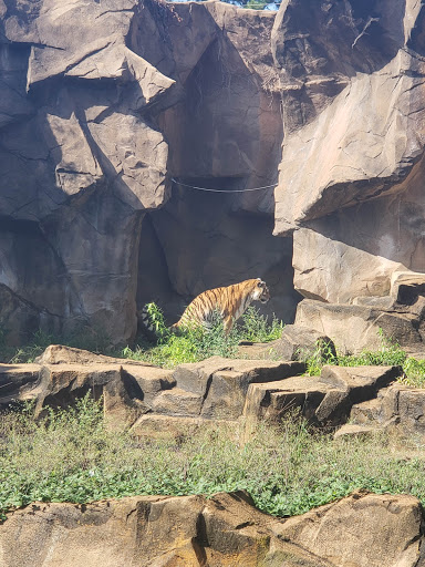 Zoo «Riverbanks Zoo and Garden», reviews and photos, 500 Wildlife Pkwy, Columbia, SC 29210, USA