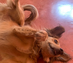 Urban Day Trips photo