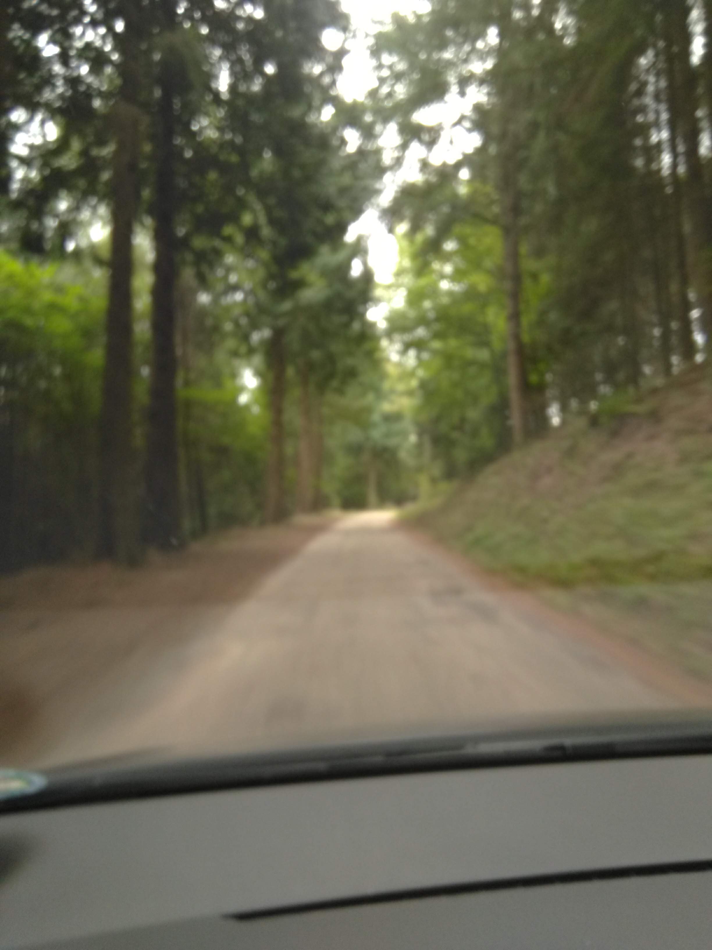 Photo n° 6 de l'avis de Dmitriy.i fait le 27/09/2019 à 10:07