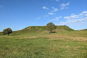 Cahokia Mounds State Historic Site image