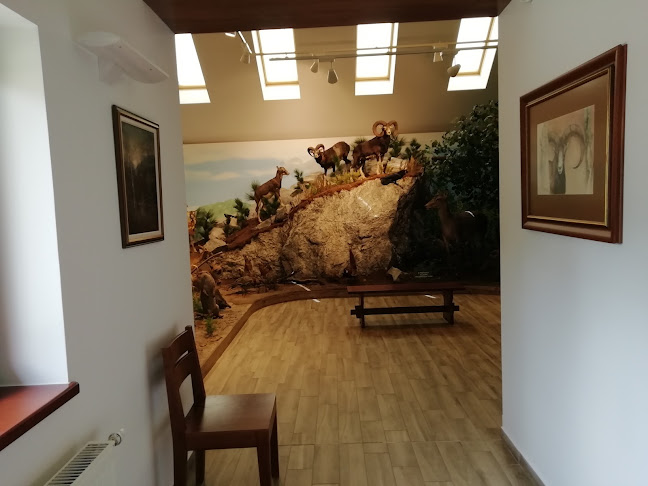 Hozzászólások és értékelések az Gróf Merán Fülöp Vadászati és Erdészeti Múzeum-ról