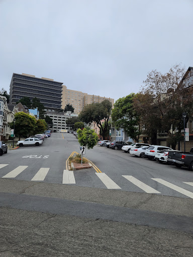 Stadium «Kezar Stadium», reviews and photos, 670 Kezar Dr, San Francisco, CA 94118, USA