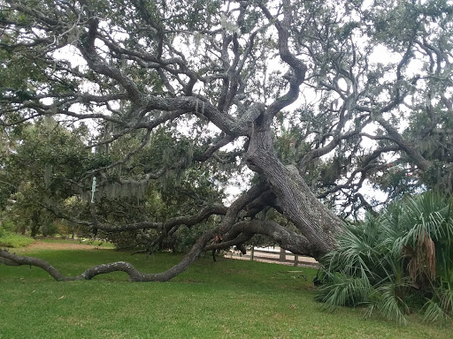 Museum «Tybee Island Light Station And Museum», reviews and photos, 30 Meddin Dr, Tybee Island, GA 31328, USA