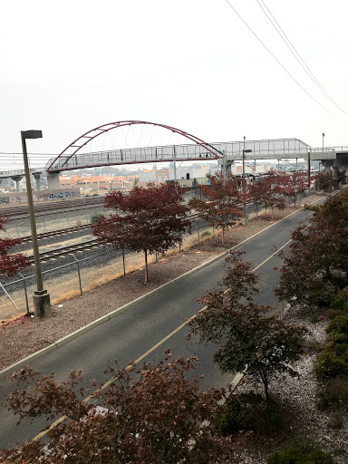 College «Sacramento City College», reviews and photos