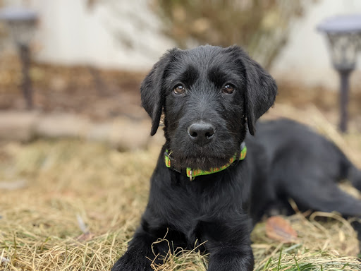 Pet Supply Store «PetSmart», reviews and photos, 10329 S State St, Sandy, UT 84070, USA