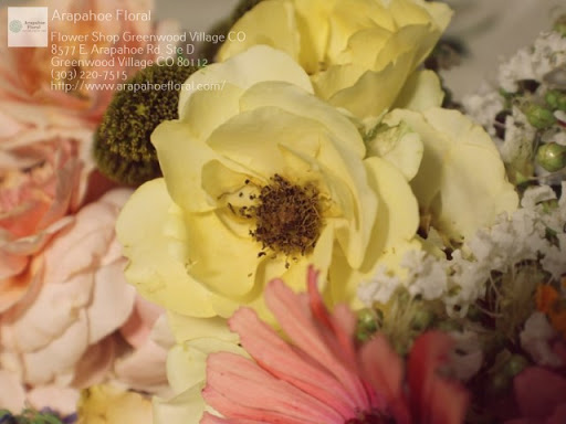 Florist «Arapahoe Floral», reviews and photos, 8577 E Arapahoe Rd, Greenwood Village, CO 80112, USA