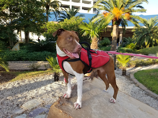 Casino «IP Casino Resort Spa», reviews and photos, 850 Bayview Ave, Biloxi, MS 39530, USA