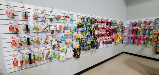 Pet Boarding Service «All About Pets», reviews and photos, 130 Arrow Rd #102, Hilton Head Island, SC 29928, USA