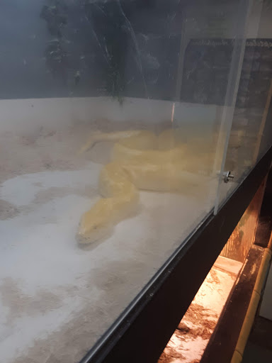 Pet Store «The Pet Zone», reviews and photos, 20 W Oak St, Pittston, PA 18640, USA