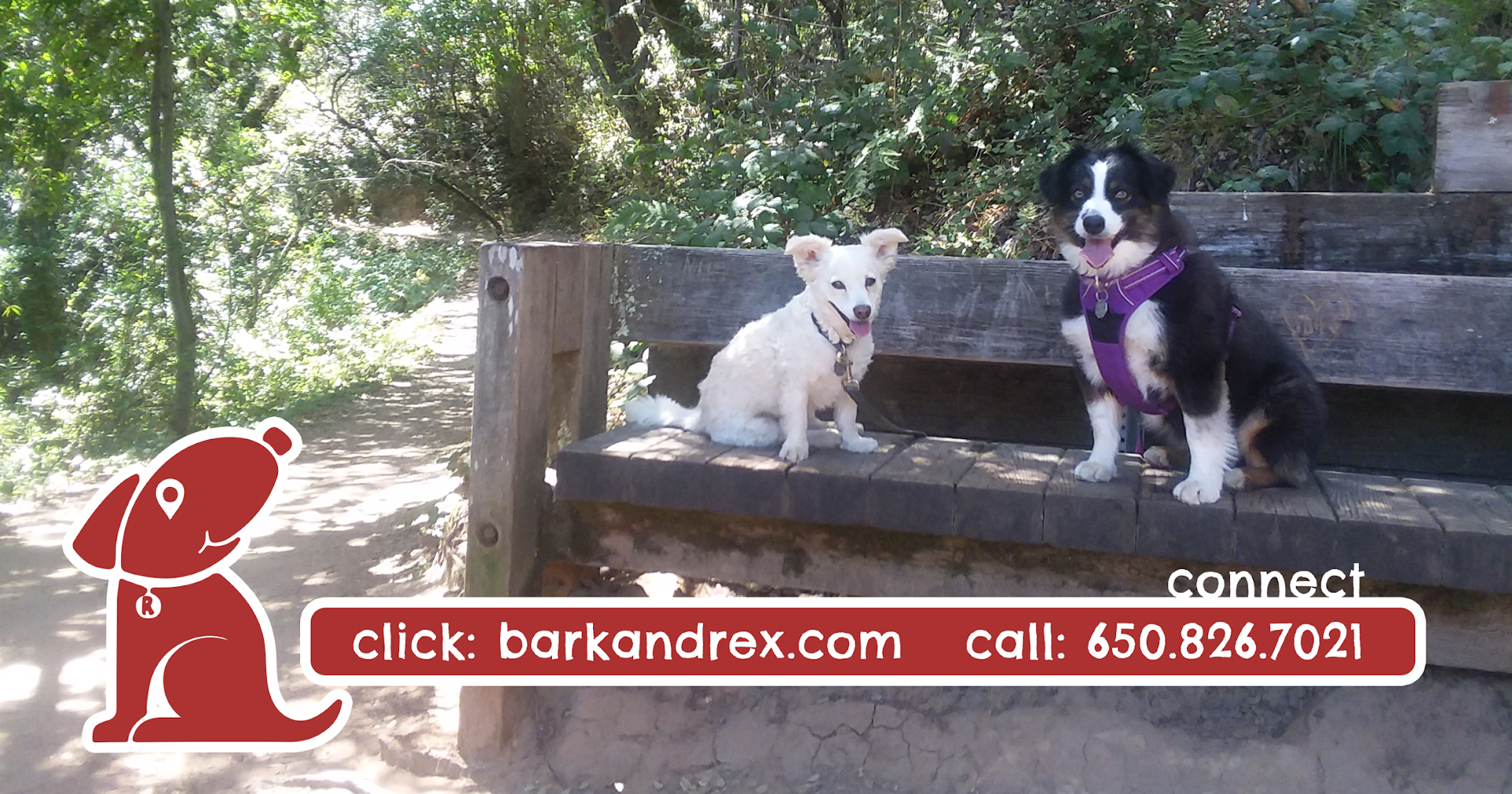Bark and Rex LLC