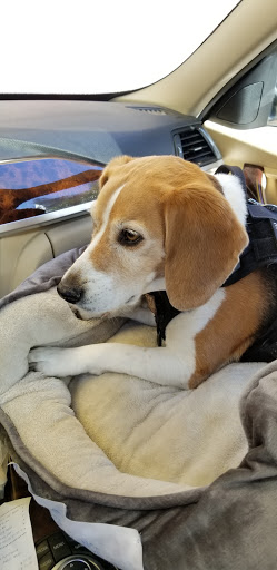 Car Wash «Seasuds Carwash», reviews and photos, 1426 23rd Ave, Seattle, WA 98122, USA