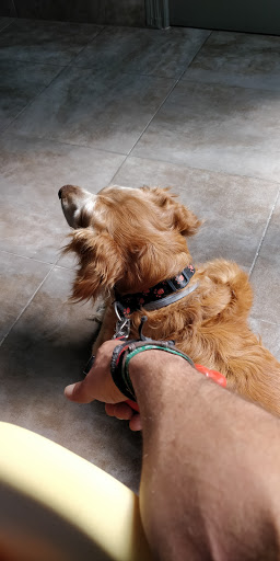 Clínica Veterinaria Benicalap en Valencia