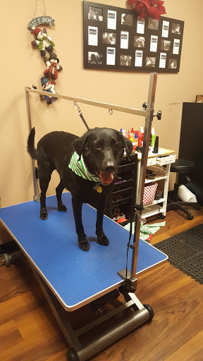 Pet Store «Pet Valu», reviews and photos, 2645 Shillington Rd, Sinking Spring, PA 19608, USA