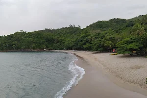 Praia de Pitangueiras image
