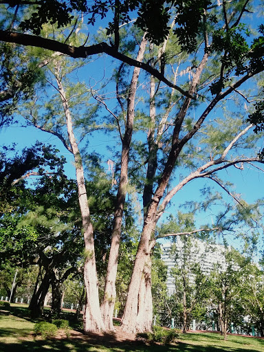 Park «Rolling Oaks Park», reviews and photos, 18701 NW 17th Ct, Miami Gardens, FL 33056, USA