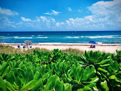 Gulfstream Park beach'in fotoğrafı ve yerleşim