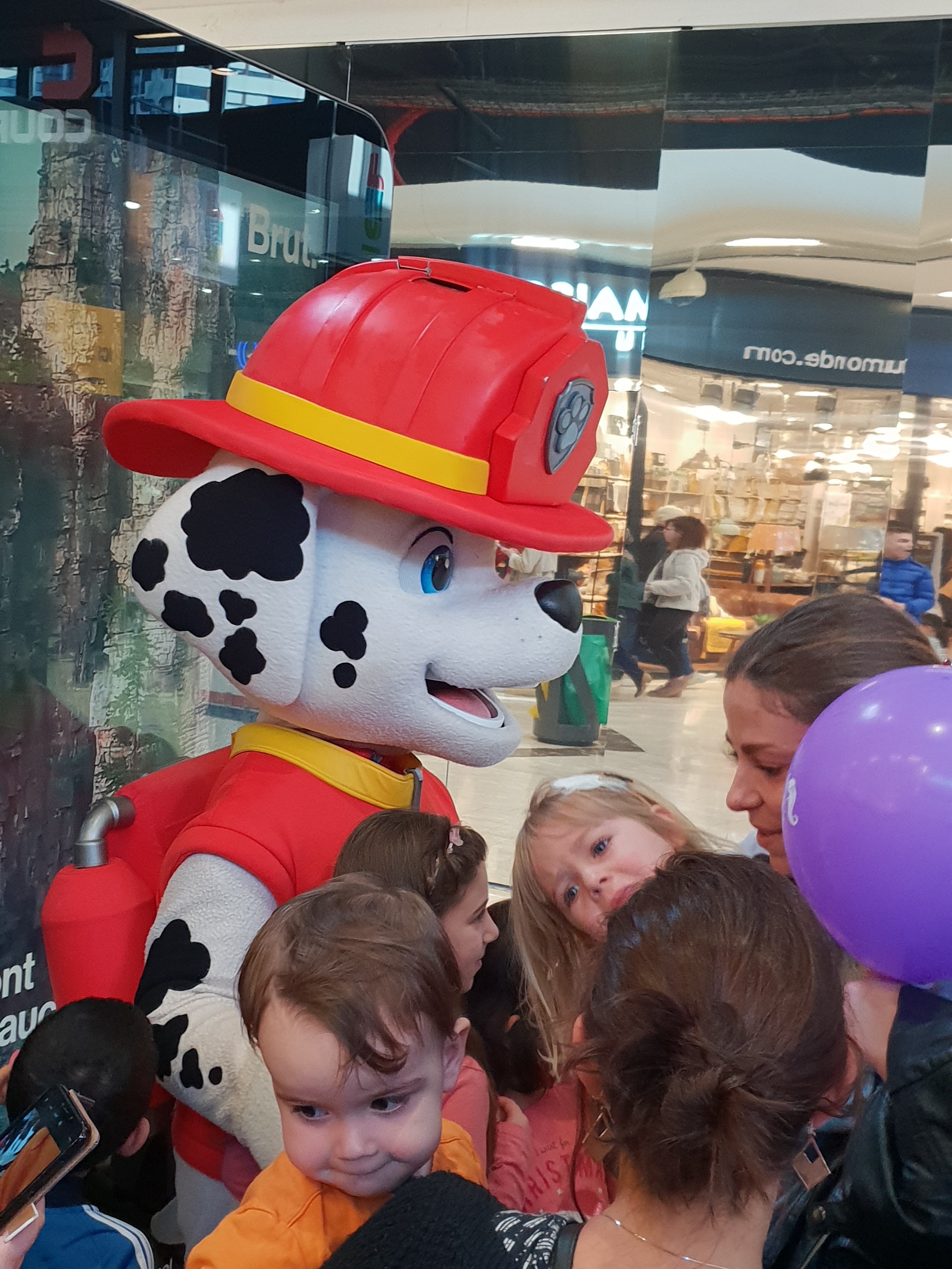 Photo n° 1 de l'avis de Émilie.e fait le 26/02/2019 à 10:31