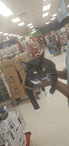 Pet Supply Store «Petco Animal Supplies», reviews and photos, 1951 N Military Trl c, West Palm Beach, FL 33409, USA