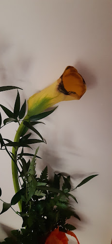 Szeged, Rókusi krt. 42, 6724