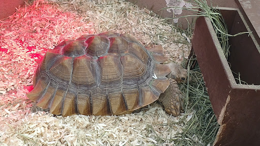 Pet Supply Store «PetKraze», reviews and photos, 100 Independent Way, Brewster, NY 10509, USA