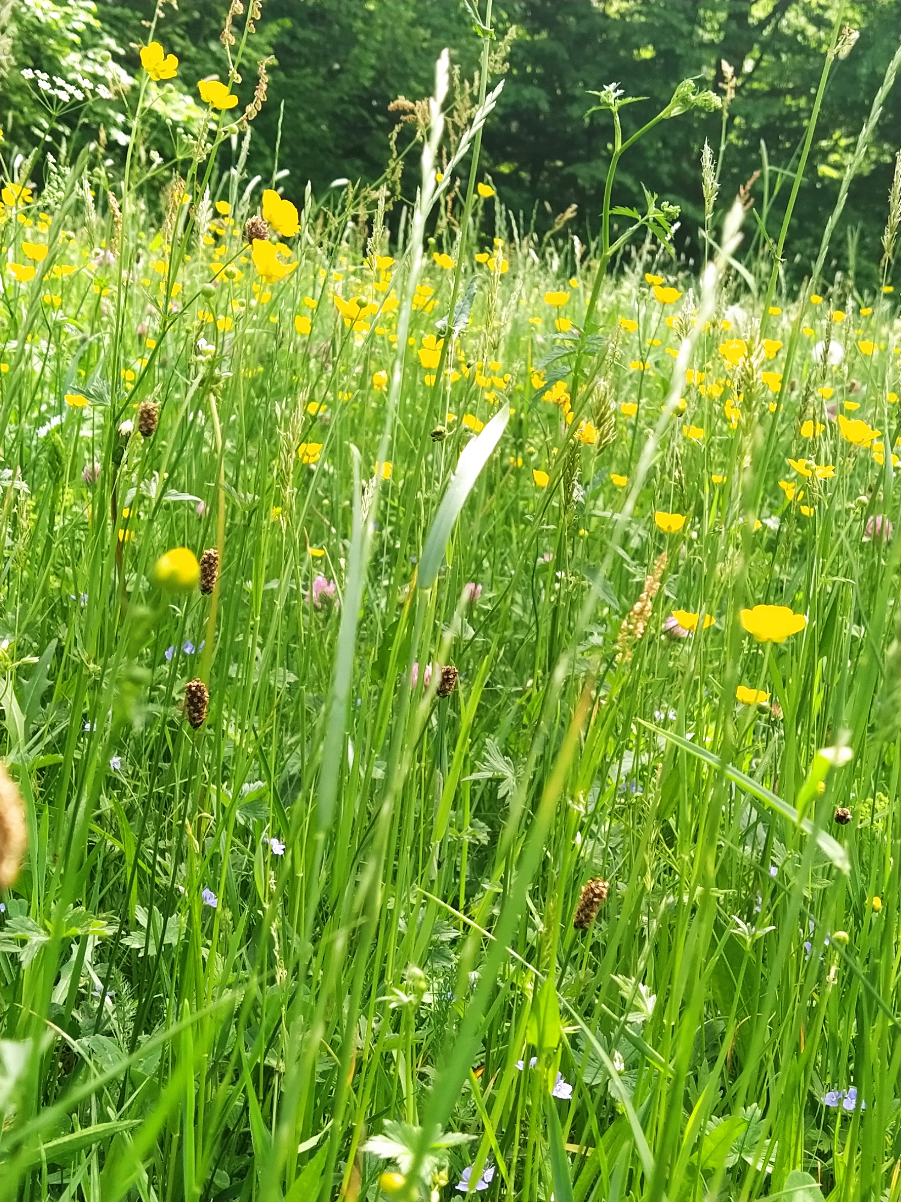 Photo n° 2 de l'avis de Nathalie.a fait le 23/05/2022 à 15:59