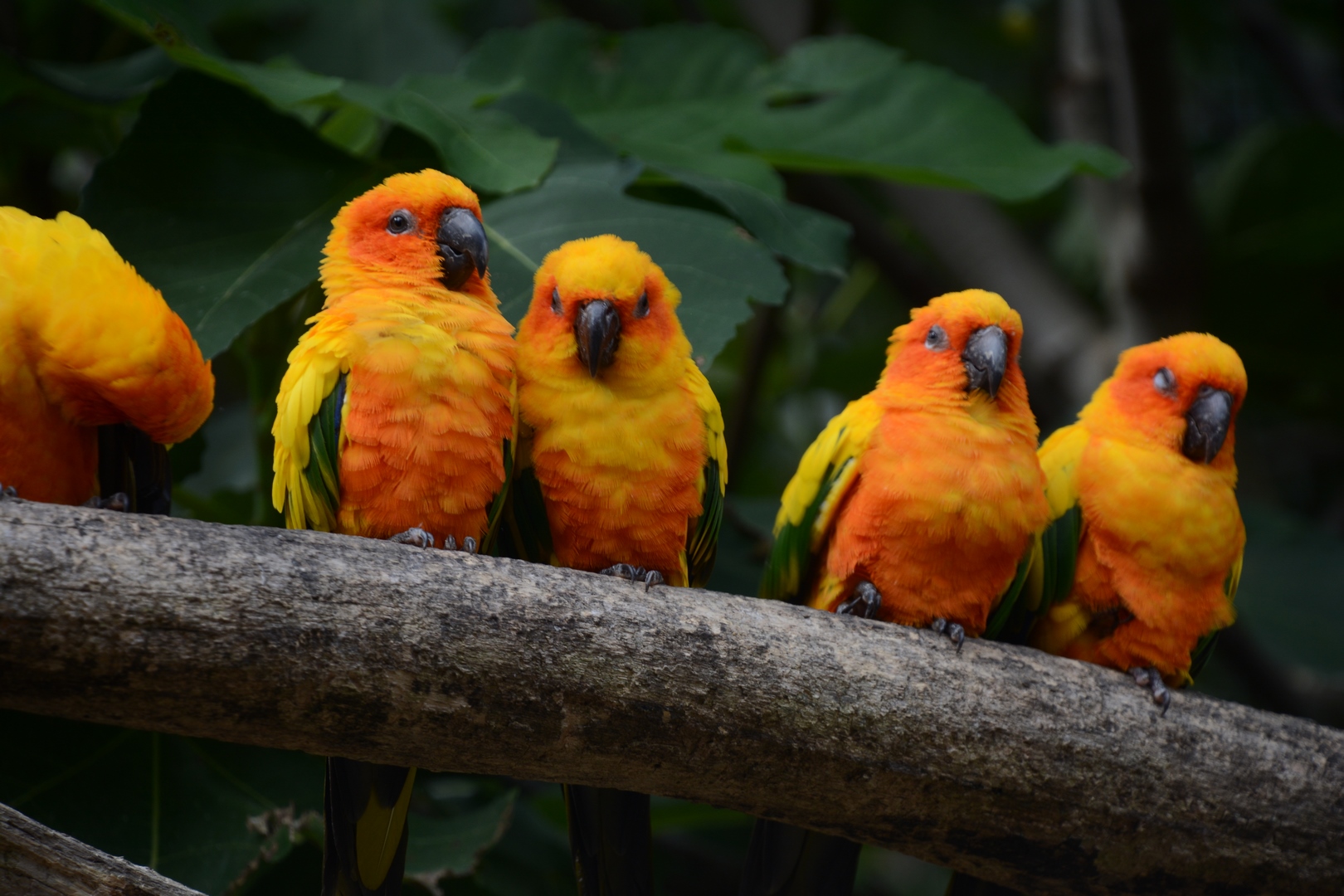 Photo n° 9 de l'avis de Laurent.E fait le 19/09/2023 à 20:20