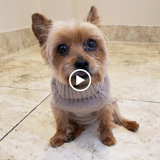 Private Golf Course «Doylestown Country Club Golf Course», reviews and photos, 20 Country Ln, Doylestown, PA 18901, USA