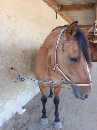 CENTRE EQUESTRE DES OURES à Châteauneuf-de-Galaure